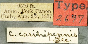 Media type: image;   Entomology 2697 Aspect: labels
